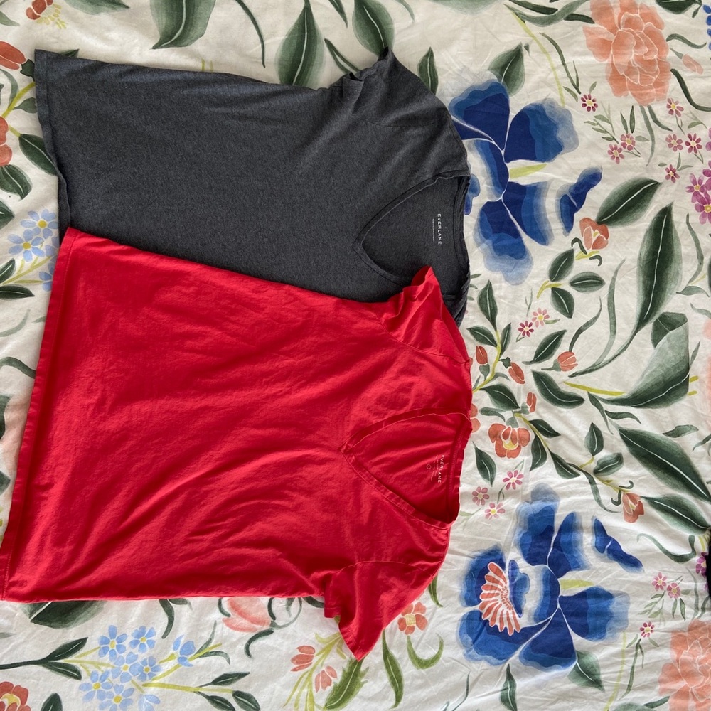 Everlane V-Neck bundle - Size Large